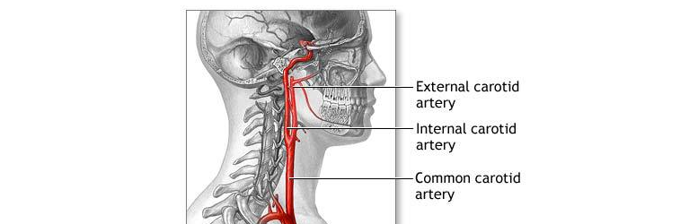 Choking During Sex Info Pic