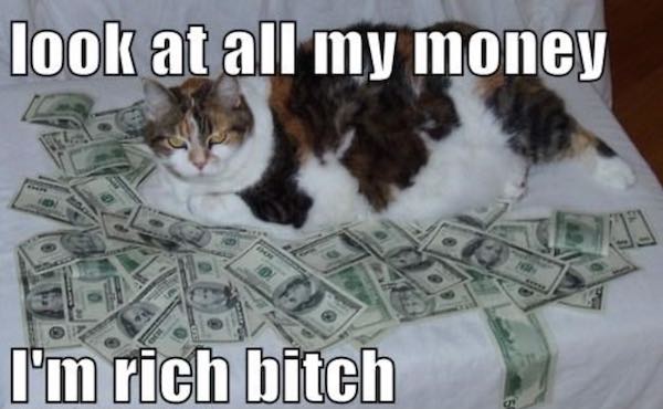 people lie about their income