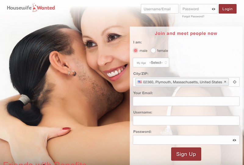 homepage of housewife wanted site