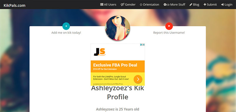 Kik Pals Profile page