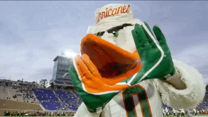 CANES mascot