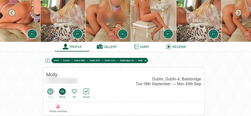 escort-ireland.com ad