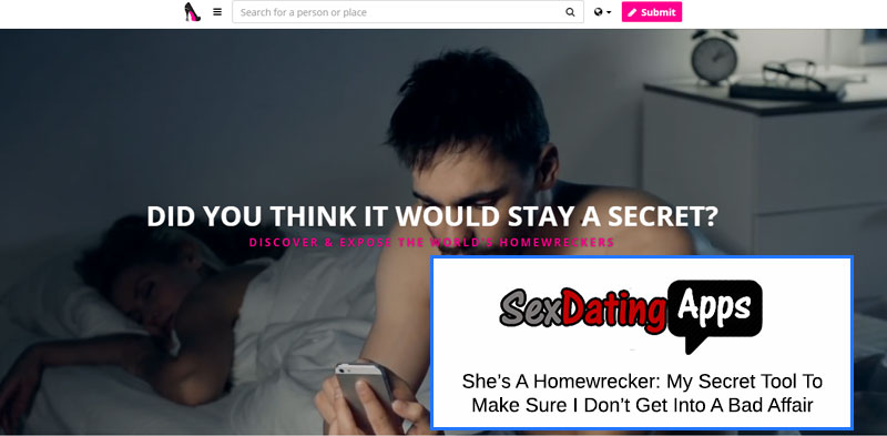 She's A Homewrecker Website