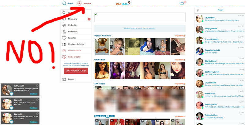 WellHello Cam Site Scam