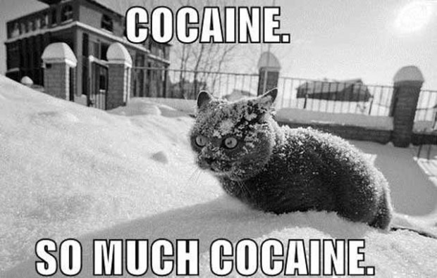 cocaine in miami
