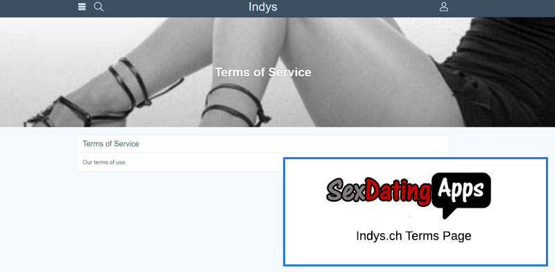 screenshot of the terms page
