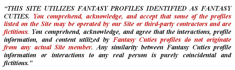 fake profile terms of service