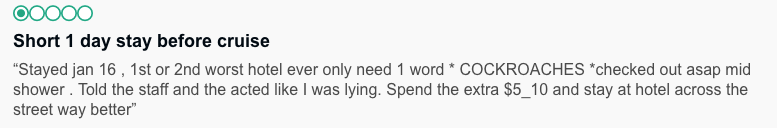 trip advisor reviews