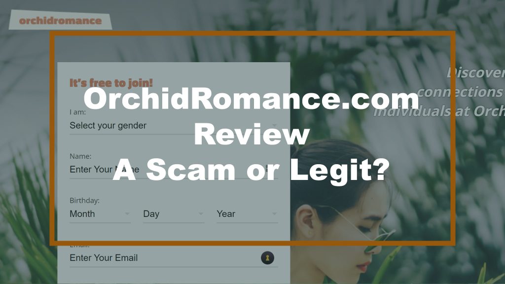 Orchid Romance Review