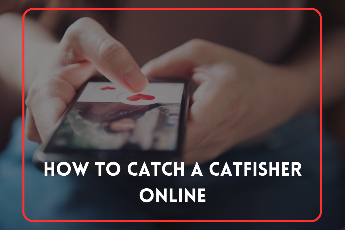How to Catch a Catfisher Online